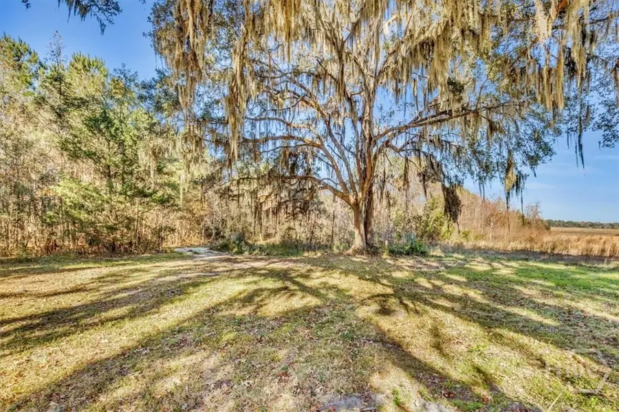 580 Old Gress Island Road #2 ISLAND LOTS, Midway, GA 31320 - #2
