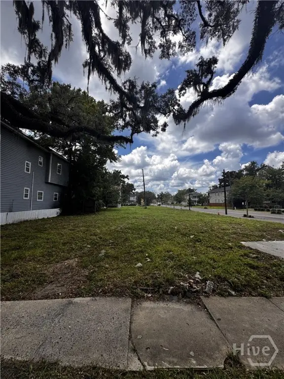 1101 E Anderson Street, Savannah, GA 31404
