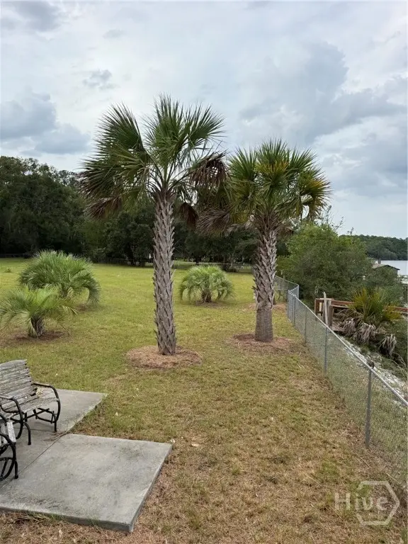 0 Gillican Avenue Ne, Townsend, GA 31331 - #3