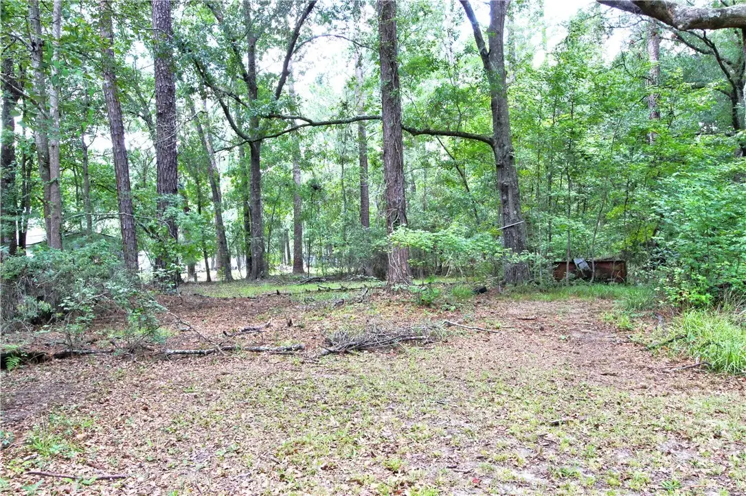 413 Wallace Circle, Bloomingdale, GA 31302 - #1