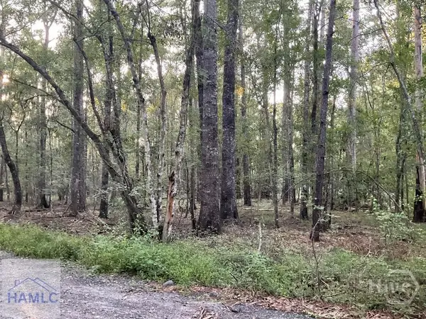 0 Cherry Lane, Hinesville, GA 31313