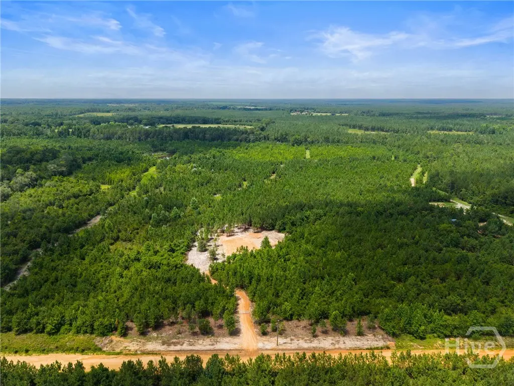 381 Findley Cemetery Road, Lyons, GA 30436 - #1