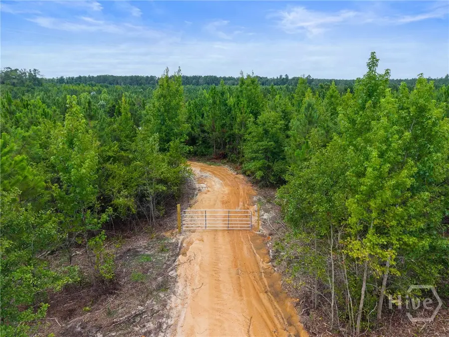 381 Findley Cemetery Road, Lyons, GA 30436 - #2