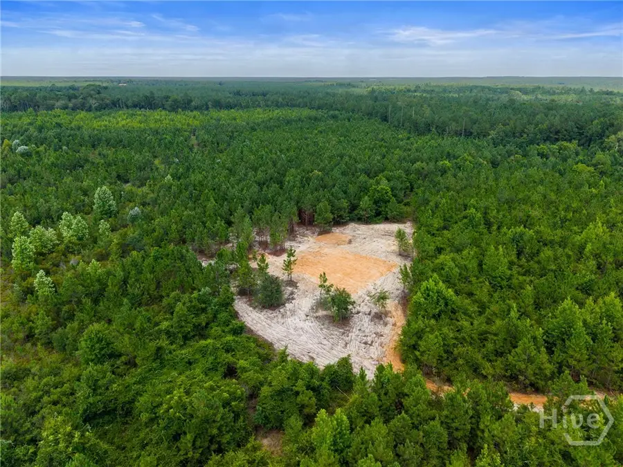 381 Findley Cemetery Road, Lyons, GA 30436 - #3