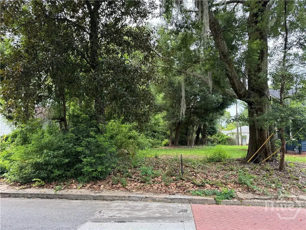 503 Durant Avenue, Savannah, GA 31404 - #1