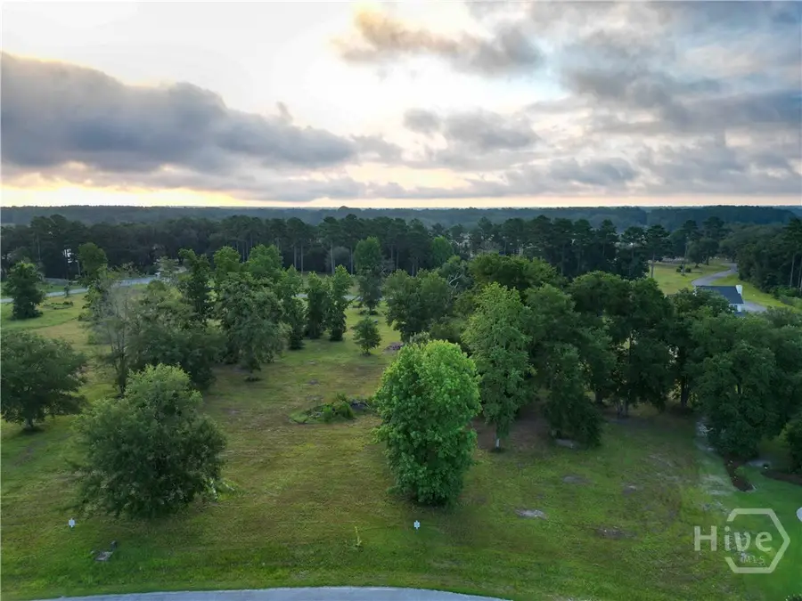 0 NE Tranquility Place #Lot 28, Townsend, GA 31331 - #3