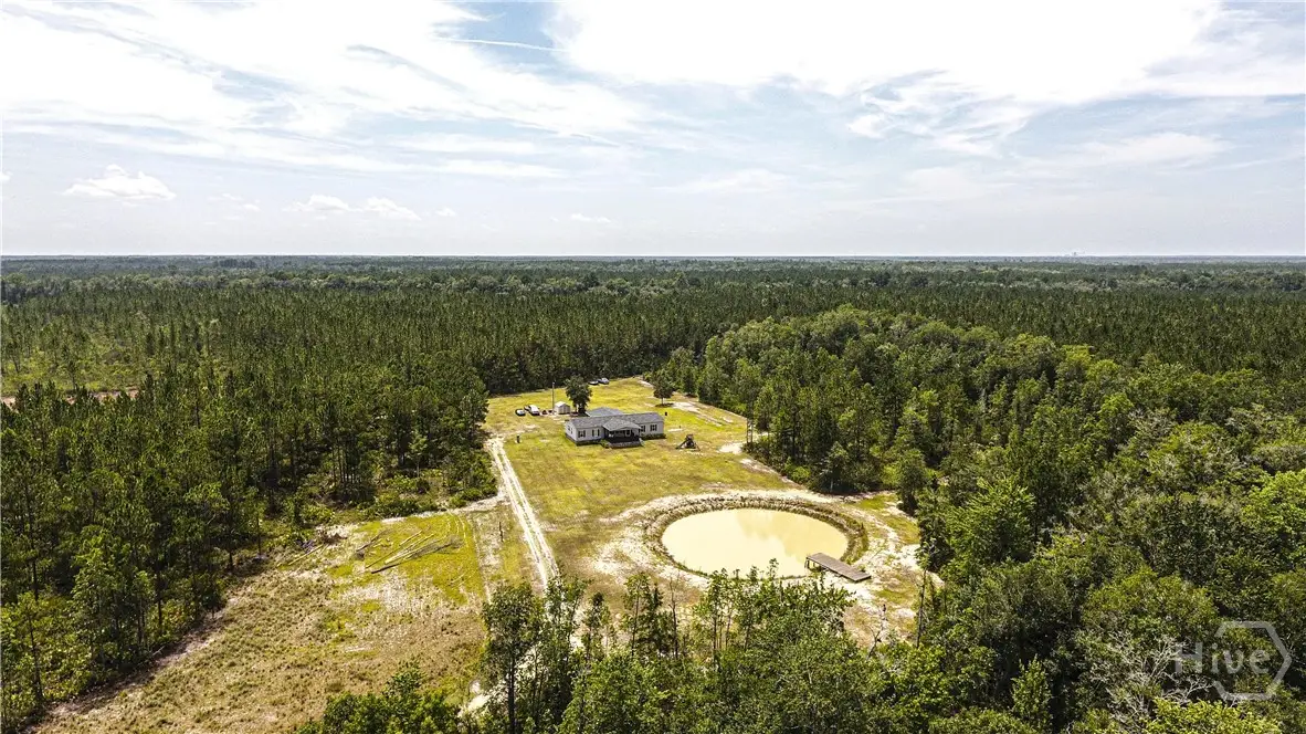 1139 Henry Walcott Road Nw, Ludowici, GA 31316 - #1