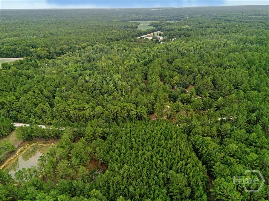 200 George Drive, Brooklet, GA 30415 - #3