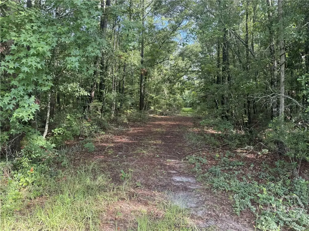 68 Johnson Road, Richmond Hill, GA 31324 - #1