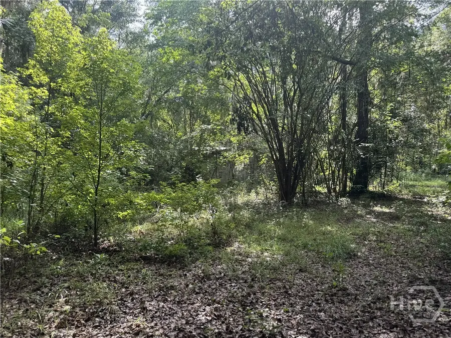 68 Johnson Road, Richmond Hill, GA 31324 - #2