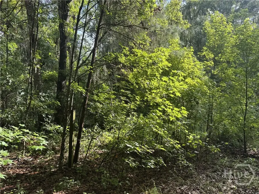 68 Johnson Road, Richmond Hill, GA 31324 - #3