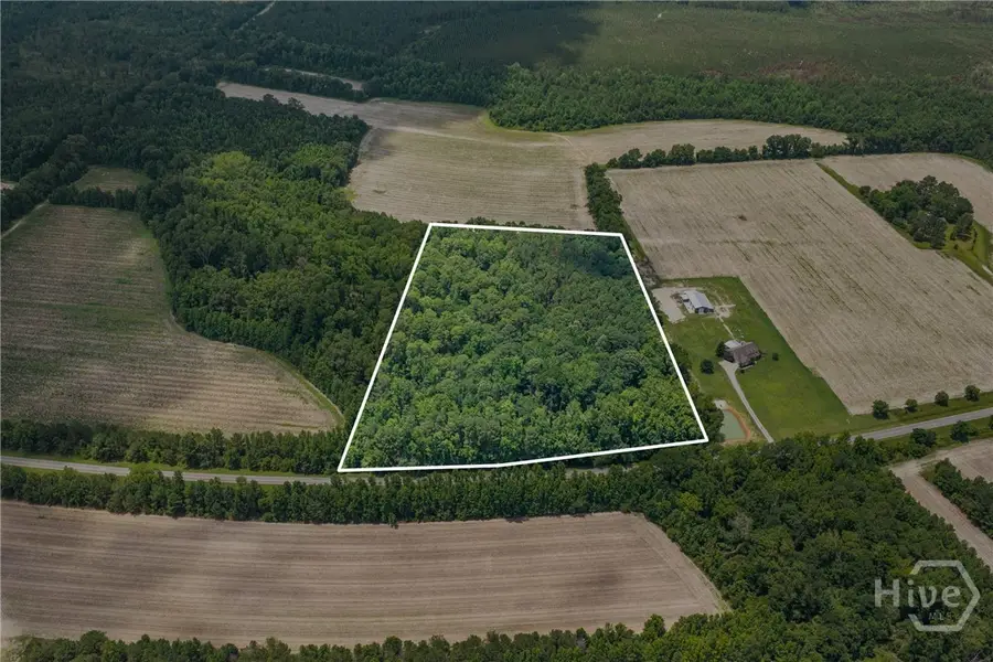 0 N Old River Road, Garfield, GA 30425 - #3
