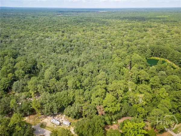 920 Pine Needle Drive, Ellabell, GA 31308
