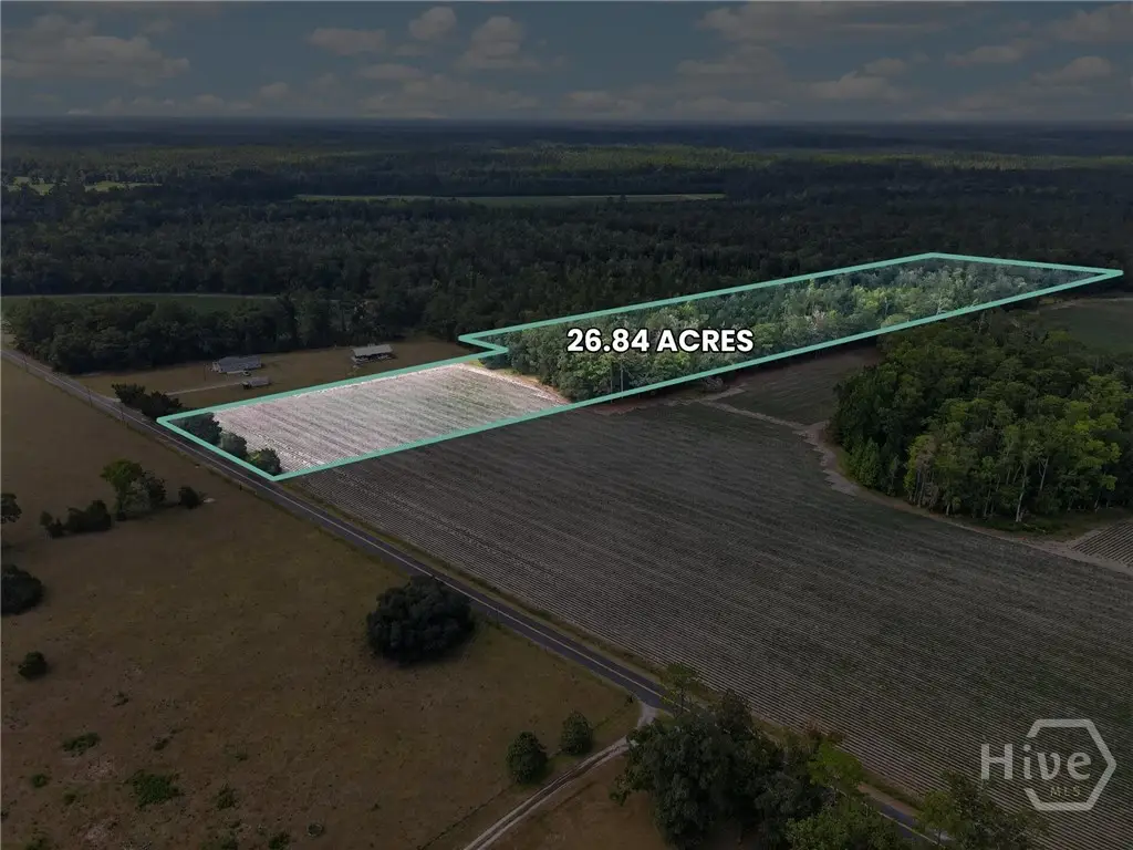 0 Tract A Morgan Road, Springfield, GA 31329 - #1