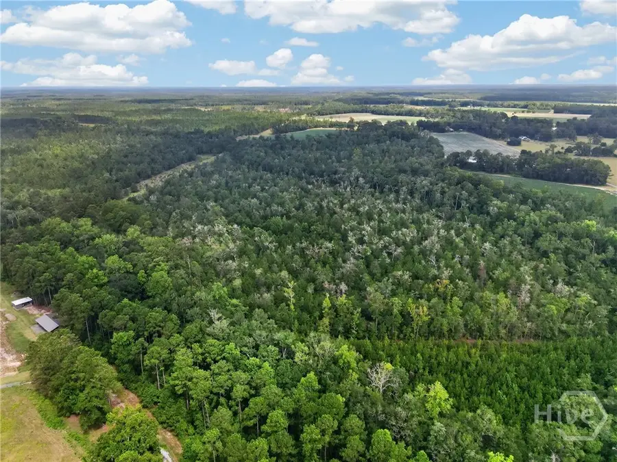 0 Tract C Morgan Road, Springfield, GA 31329 - #2