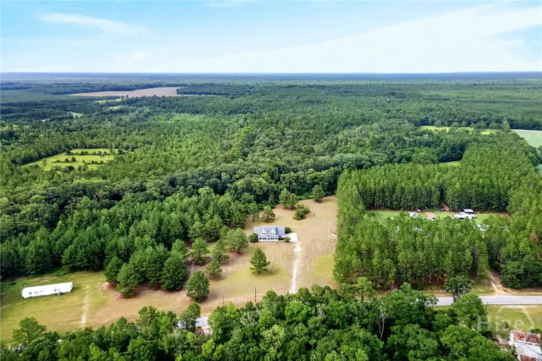 4016 Clyo Kildare Road, Clyo, GA 31303 - #1