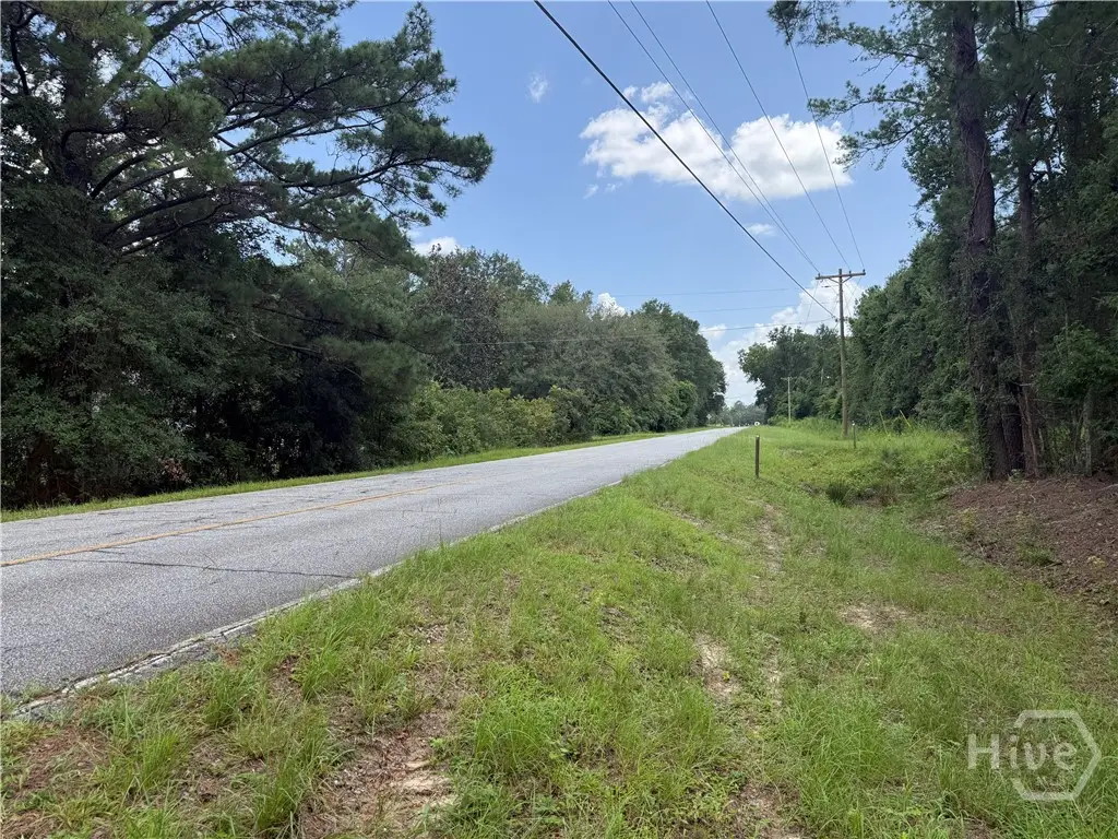00 Toni Branch Road, Ellabell, GA 31308 - #1