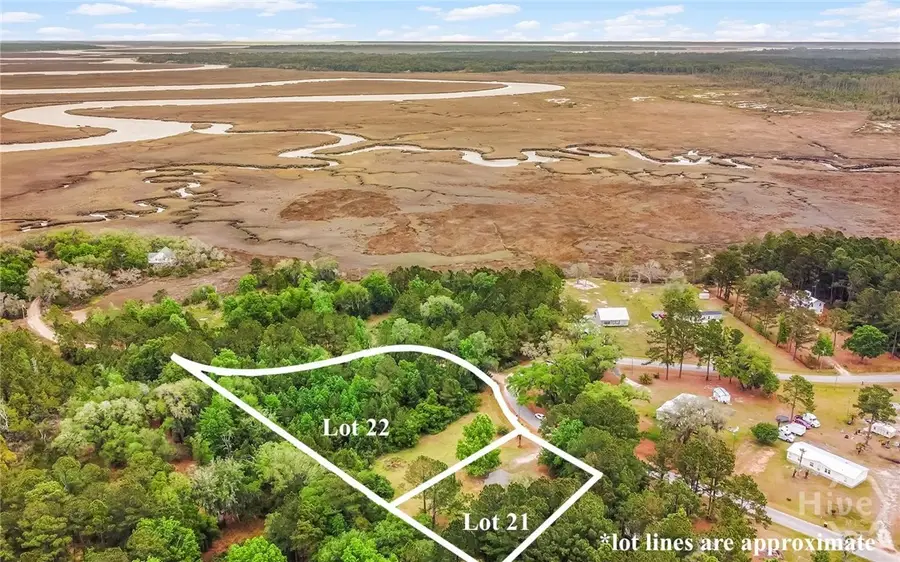 1595 Forest Island Drive, Townsend, GA 31331 - #2