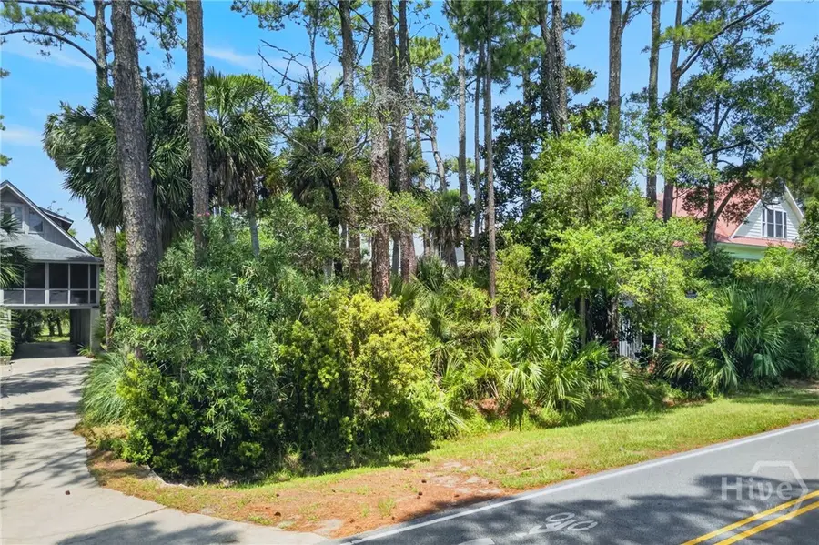 811 Jones Avenue, Tybee Island, GA 31328 - #2