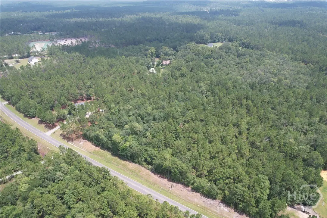 0 Brogdon Road, Guyton, GA 31312 - #1