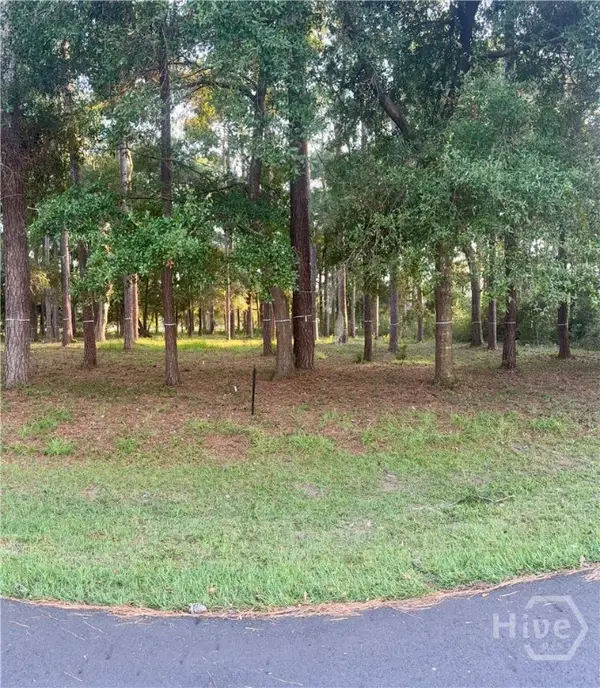 0 Fair Hope Drive Ne, Townsend, GA 31331