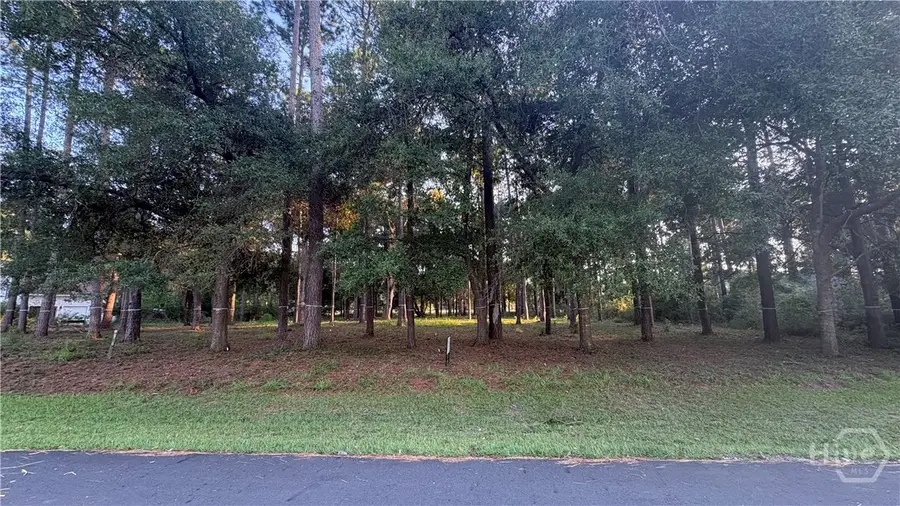 0 Fair Hope Drive Ne, Townsend, GA 31331 - #2