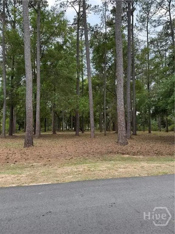 0 Fair Hope Drive Ne, Townsend, GA 31331 - #3