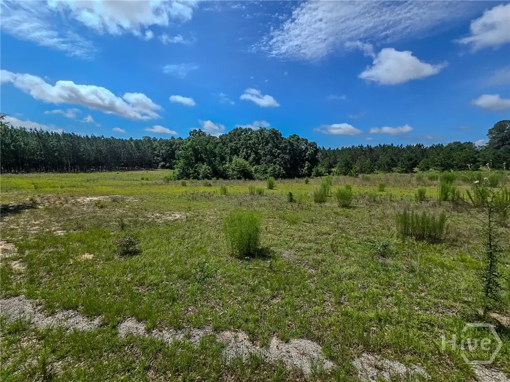 0 Village Road, Sylvania, GA 30467 - #1