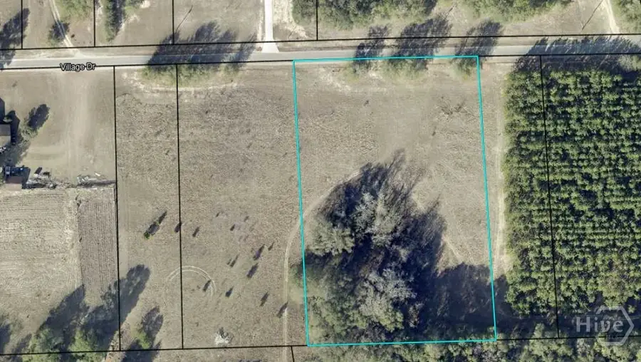 0 Village Road, Sylvania, GA 30467 - #3