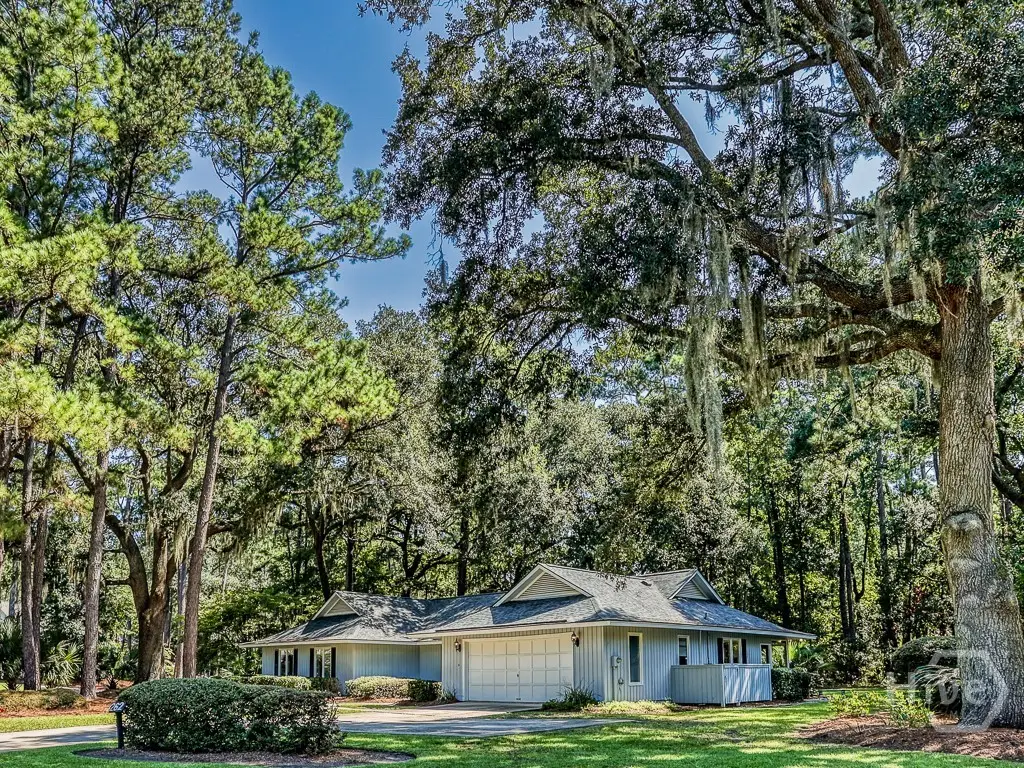 262 Wiley Bottom Road, Savannah, GA 31411 - #1