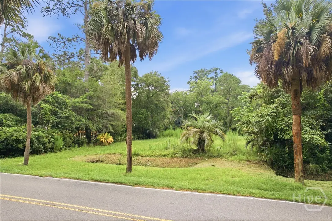 2615 Norwood Avenue, Savannah, GA 31406 - #1
