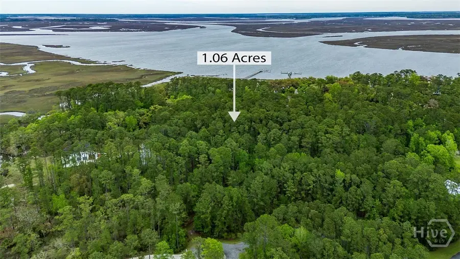 Lot 216 Riverpoint Lane Ne, Townsend, GA 31331 - #3