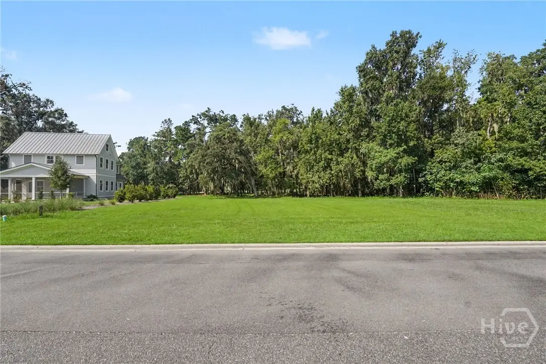 245 Little Lulu Lane, Richmond Hill, GA 31324 - #1