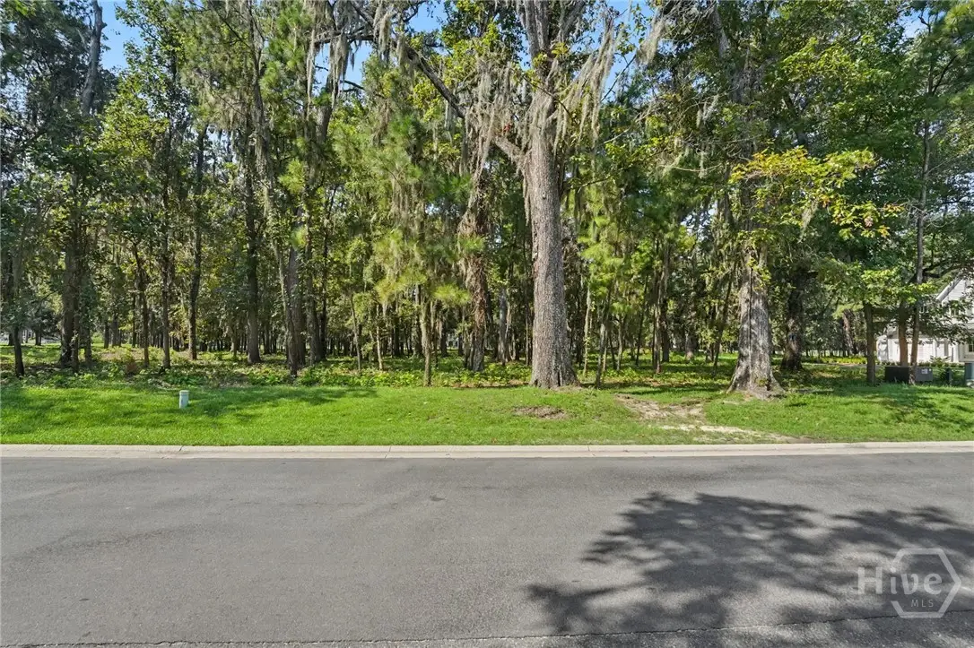 183 Little Lulu Lane, Richmond Hill, GA 31324 - #1