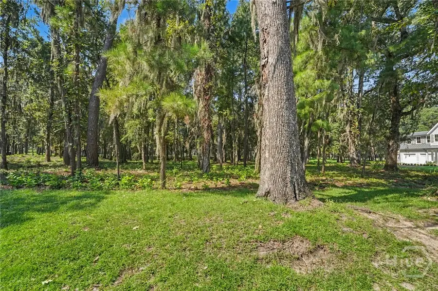 183 Little Lulu Lane, Richmond Hill, GA 31324 - #3