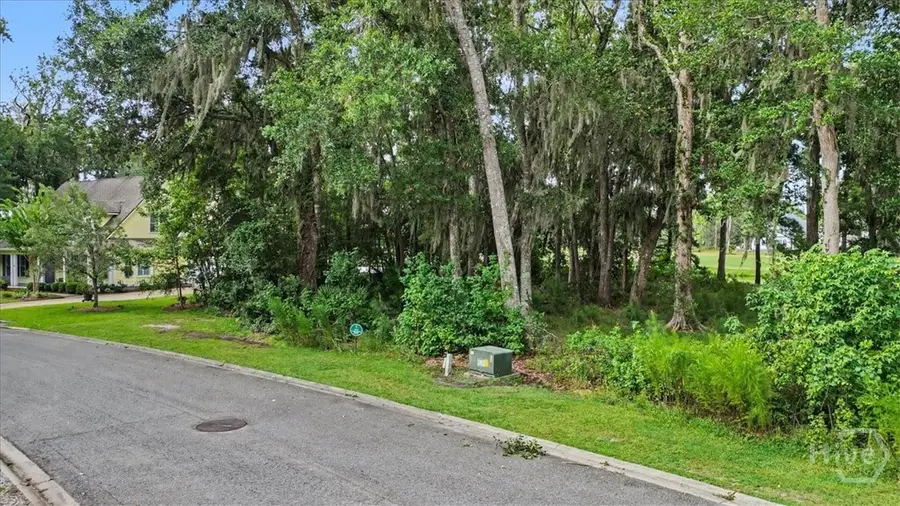 Lot 17 Eagle Crest, Waverly, GA 31565 - #3