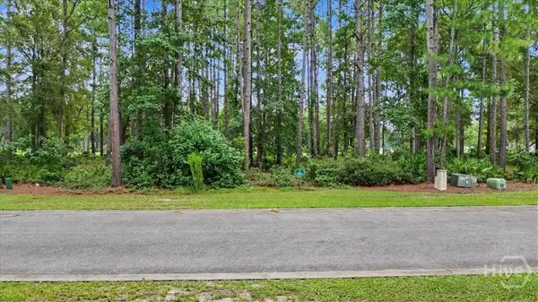 Lot 38 Palmetto Wynd, Waverly, GA 31565