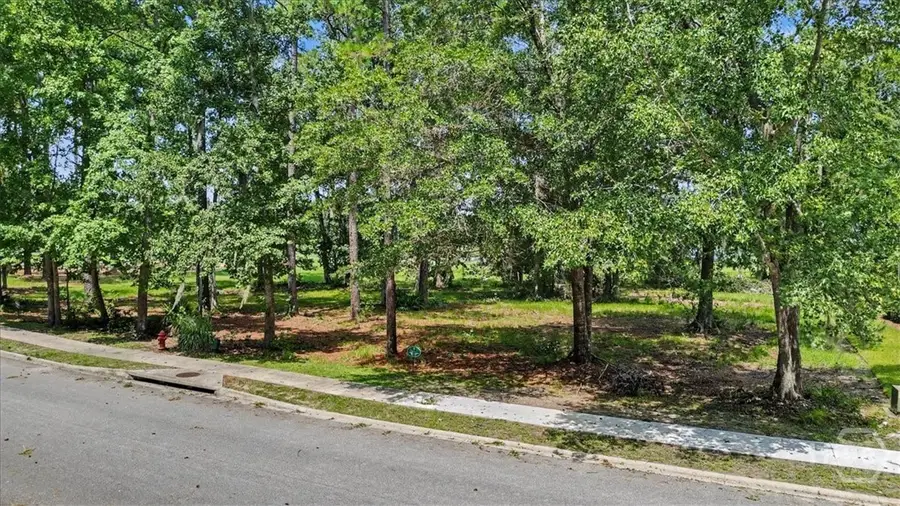 Lot 2 Sanctuary Wynd, Waverly, GA 31565 - #2