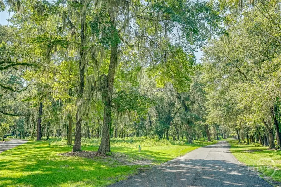 777 Silk Hope Drive, Richmond Hill, GA 31324 - #3