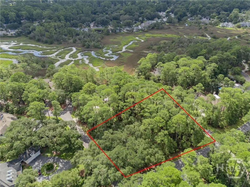 1 Hasleiters Retreat, Savannah, GA 31411 - #1