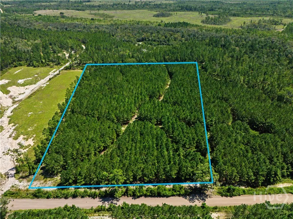 LOT 1-O Mill Branch Club Road, Pembroke, GA 31321 - #1