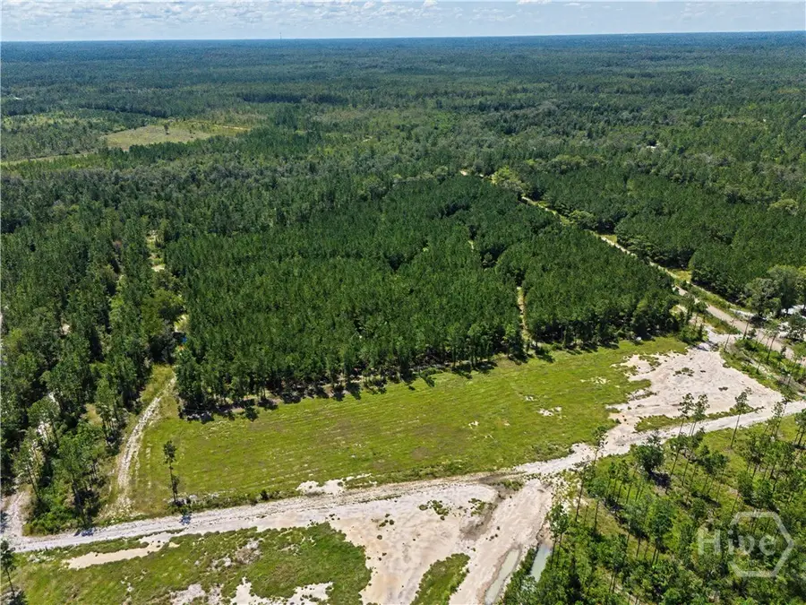 LOT 1-O Mill Branch Club Road, Pembroke, GA 31321 - #3