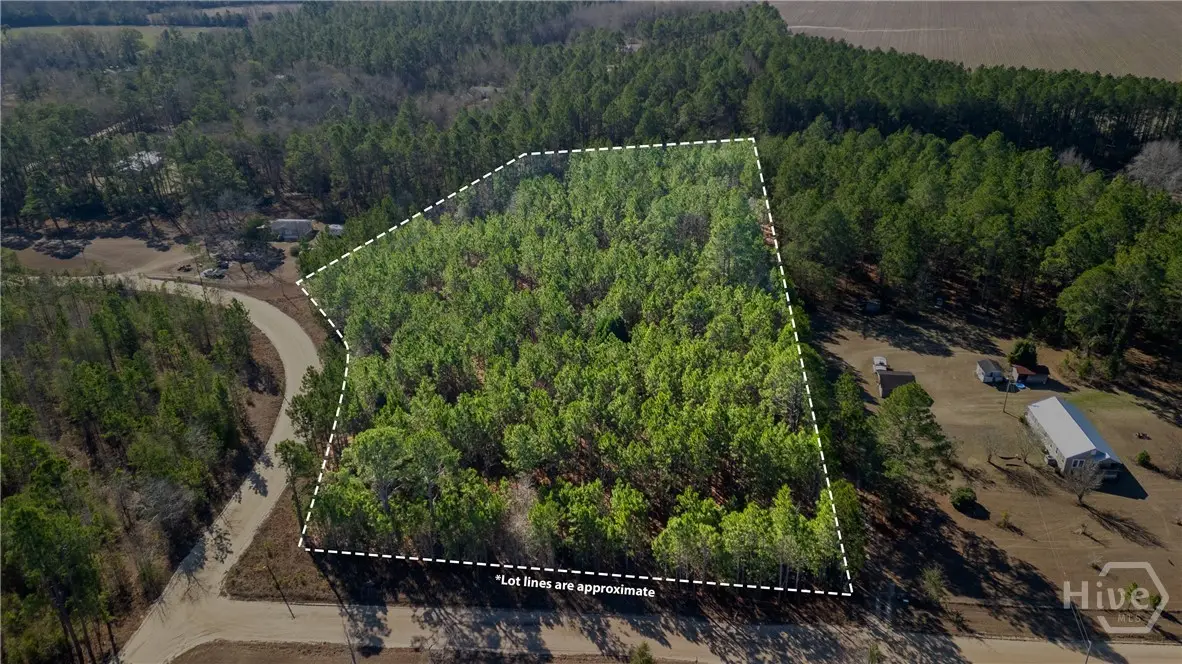 3201 Deer Run Lane, Statesboro, GA 30461 - #1