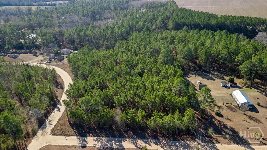 3201 Deer Run Lane, Statesboro, GA 30461 - #2