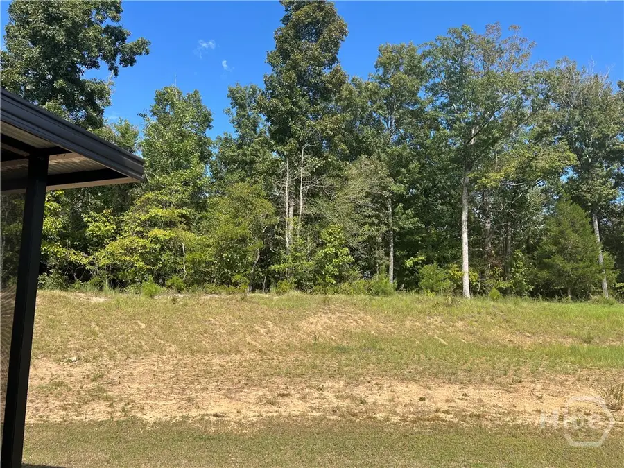 224 Dream Catcher Drive, Lizella, GA 31052 - #3