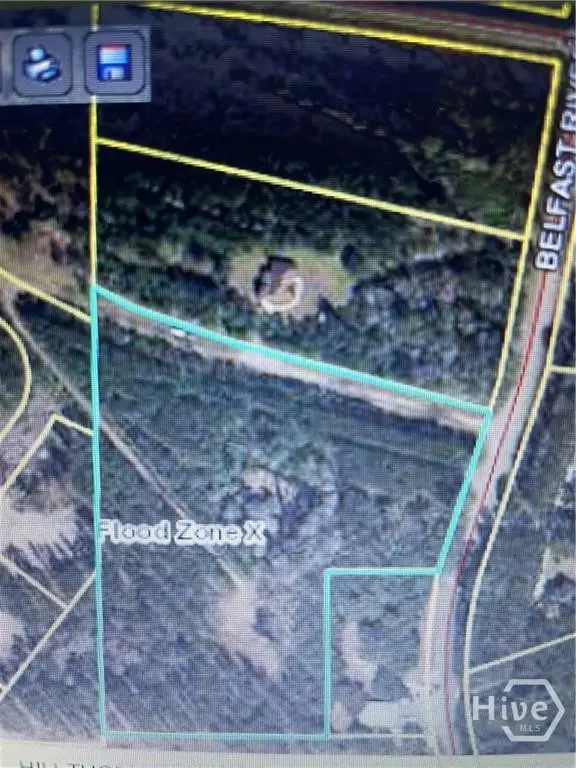 0000 Belfast River Road, Richmond Hill, GA 31324 - #2
