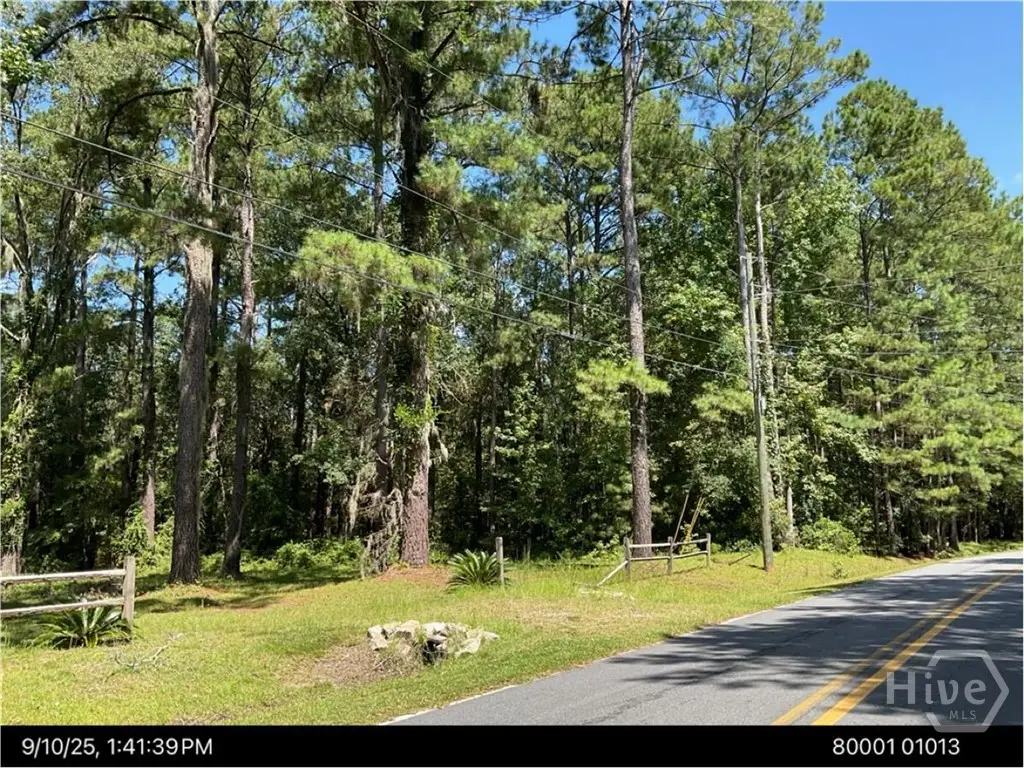 LOT 1 Conaway Road, Bloomingdale, GA 31302 - #1