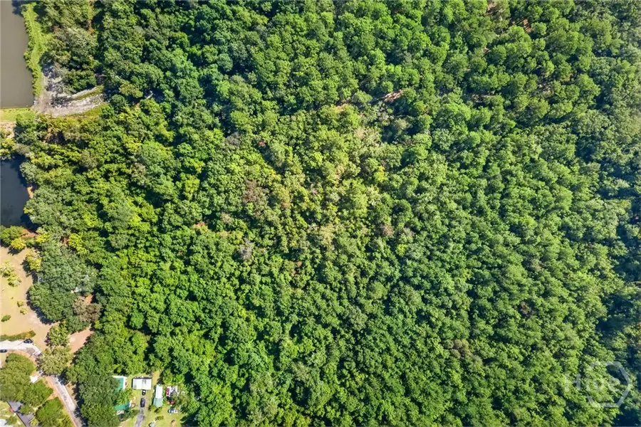 0 Sherwood Drive, Rincon, GA 31326 - #3