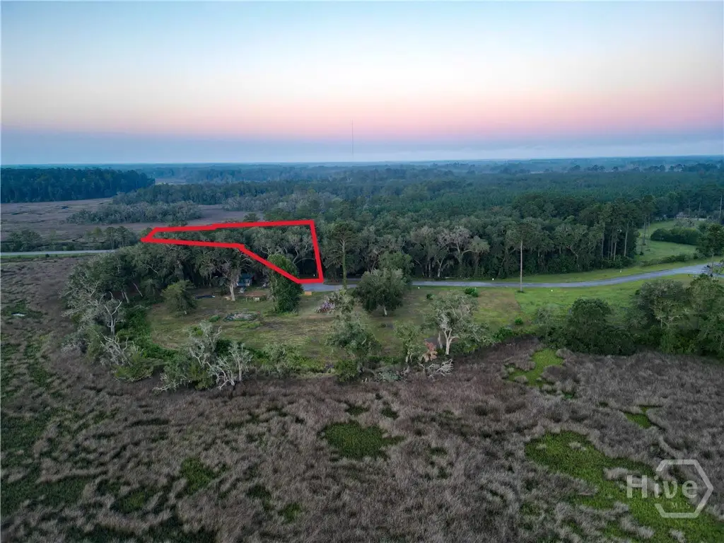 Lot #1 Retreat Lane Ne, Townsend, GA 31331 - #1