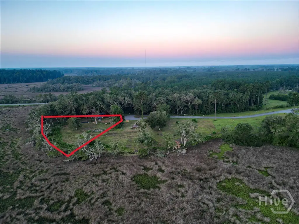 Lot #3 Retreat Lane Ne, Townsend, GA 31331 - #1